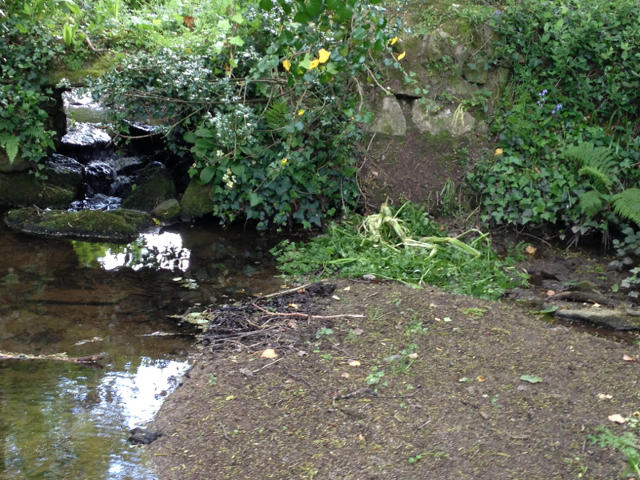 Bridge at Rosewyn